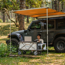 Акумуляторний візок Litheli з двигуном від павербанку (УМБ Litheli Power Bank 20000 mAh, 45 W в комплекті)