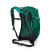 Рюкзак Osprey Hikelite 18
