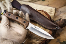 Ніж Kizlyar Supreme Corsair сатин, сталь AUS8, дерево, шкіряний чохол