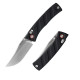 Ніж складаний Ruike P856-B чорний