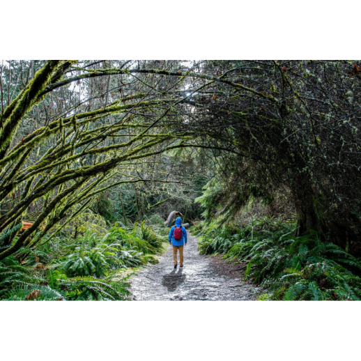 Рюкзак Exped CLOUDBURST 25 burgundy - бордовий