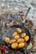 Сковорода кована Petromax Wrought-Iron Pan sp28 Ø21 см