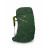 Рюкзак Osprey Ace 38 green canopy - O/S - зеленый