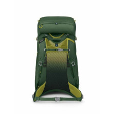 Рюкзак Osprey Ace 38 green canopy - O/S - зелений