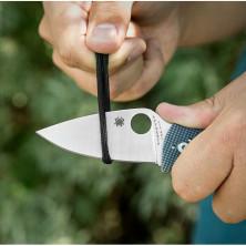 Ніж Spyderco Alcyone (C222GPGY)