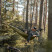 Гамак Grand Canyon Bass Mosquito Hammock Nutria Brown (30621632)