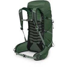 Рюкзак Osprey Talon 33 green canopy/pine leaf - O/S - зелений