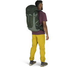 Рюкзак Osprey Talon 33 green canopy/pine leaf - O/S - зелений