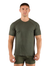 Футболка чоловіча Lasting QUIDO, Зелена XL