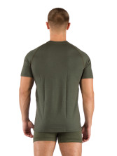 Футболка чоловіча Lasting QUIDO, Зелена XL