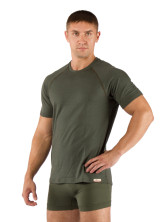 Футболка чоловіча Lasting QUIDO, Зелена XL