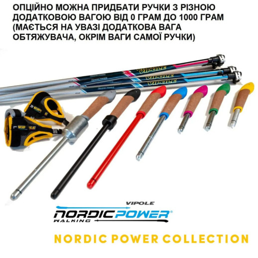 Секція палиць для скандинавської ходьби Vipole Asta Power Steps Blue 125 (SW20 01)