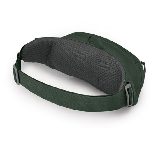 Поясная сумка Osprey Daylite Waist green belt/green canopy - O/S - зеленый