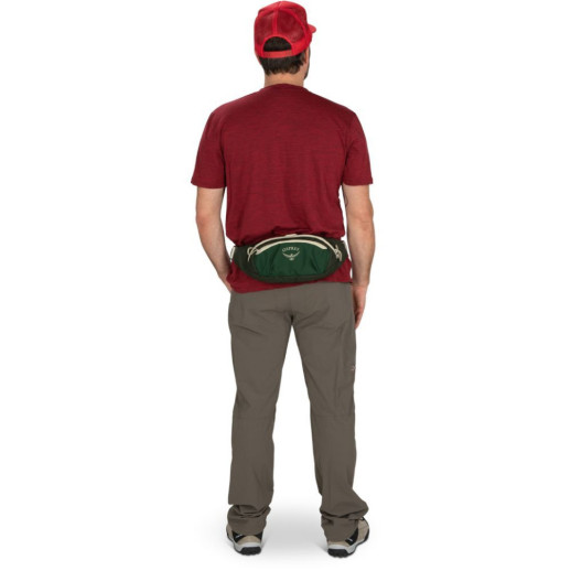 Поясная сумка Osprey Daylite Waist green belt/green canopy - O/S - зеленый