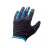 Перчатки Lynx Trail BB Black/Blue L