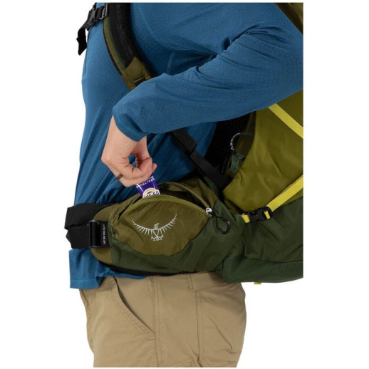 Рюкзак Osprey Atmos AG LT 50 scenic valley/green peppercorn - S/M - зеленый