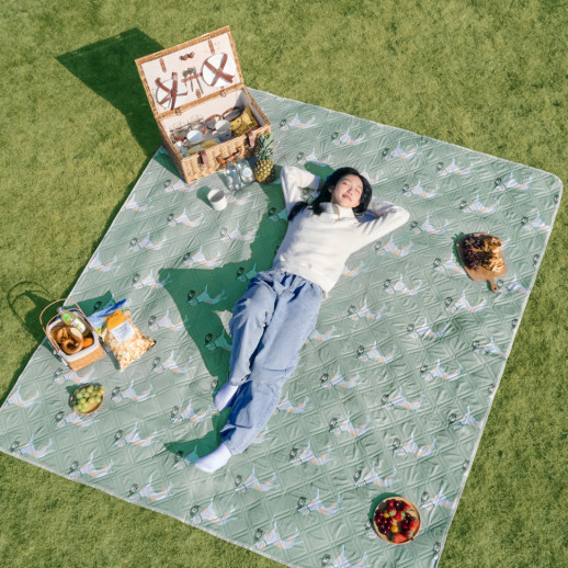 Коврик для пикника Naturehike CNK2350WS010 210*240 см, голубой с принтом