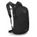 Рюкзак Osprey Daylite green canopy/green creek - O/S - зеленый