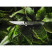 Нож Boker Plus Kwaiken Mini Limited Edition