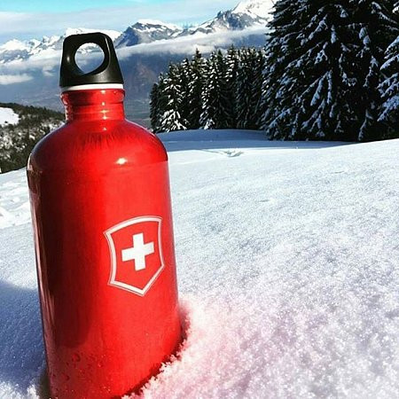 Бутылка для воды SIGG Swiss Emblem, 0.6 л, красная