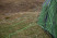 Палатка Vango Omega 250 Pamir Green (TENOMEGA P32163)