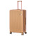 Чемодан Semi Line 28" (L) Gold (T5663-5)