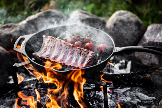 Сковорода-гриль чугунная Petromax Grill Fire Skillet с длинной ручкой  25 см