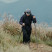 Трекинговая палка Naturehike CNK2450DS017, 120 см, черная