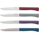 Набор ножей Opinel Bon Appetit Plus Galm (002197)