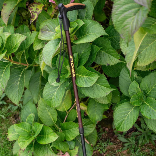 Палка трекинговая Vipole Walker (S25 22)