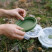 Контейнер Tribe Bowl Container 550 мл силиконовый T-FF-0045, olive