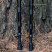 Палки для скандинавской ходьбы Tribe Nordic Pole Alu T-ME-0022-white
