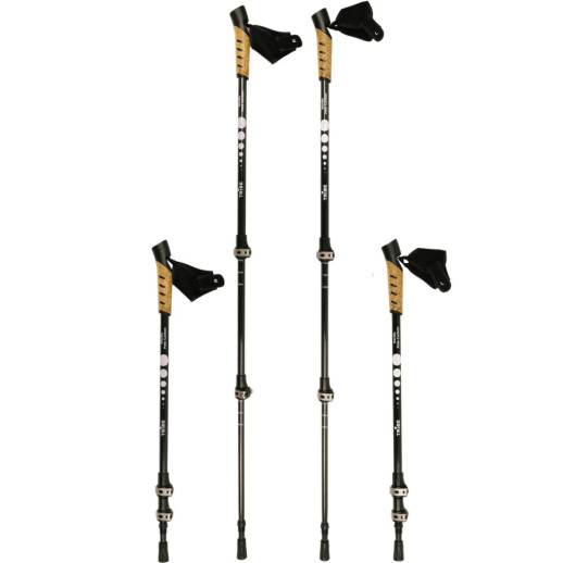 Палки для скандинавской ходьбы Tribe Nordic Pole Carbon T-ME-0023-white