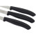 Набор кухонных ножей Victorynox пластик черный (6.7113.3)