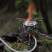 Газовая горелка Tribe Burner Remote T-HB-0018