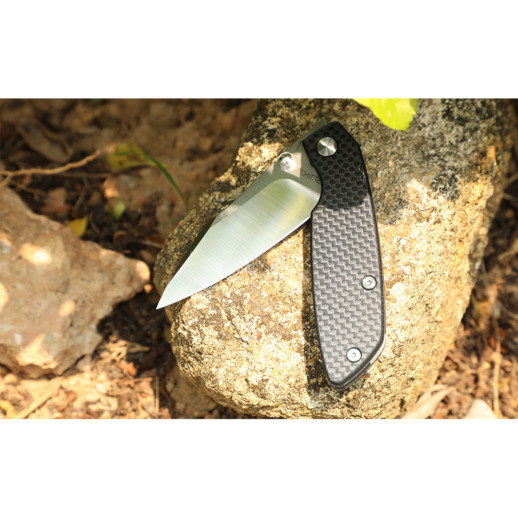 Нож складной туристический Ruike P746-CB, (8 см) 14C28N / G10 черный