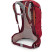 Рюкзак Osprey Stratos 24 poinsettia red - O/S - красный