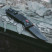 Нож Trident AT Black/Red (SOG 11-12-01-41)