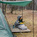 Спальный мешок Tribe Down 400 Long пуховой T-CH-0008-grey-L