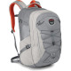Рюкзак Osprey Questa 27 Серый