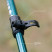 Треккинговые палки Tribe Trekking Pole Alu T-ME-0026-ocean