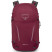 Рюкзак Osprey Hikelite 26 chameleon/black - O/S - бордовый