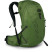 Рюкзак Osprey Talon 22 green belt/black - S/M - зеленый