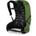 Рюкзак Osprey Talon 22 green belt/black - S/M - зеленый