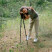 Треккинговые палки Tribe Trekking Pole Carbon T-ME-0027-ocean