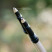 Треккинговые палки Tribe Z-Pole Alu T-ME-0024-plum