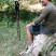 Треккинговые палки Tribe Z-Pole Alu T-ME-0024-plum