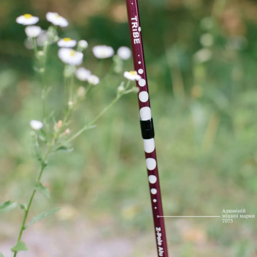 Треккинговые палки Tribe Z-Pole Alu T-ME-0024-plum