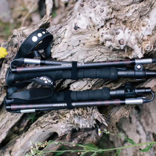 Треккинговые палки Tribe Z-Pole Carbon T-ME-0025-plum