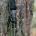 Треккинговые палки Tribe Z-Pole Carbon T-ME-0025-plum